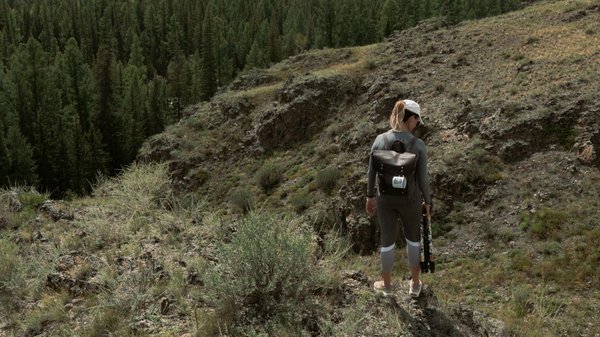 Quels conseils pour louer une maison de vacances en Irlande avec des excursions pour observer les falaises?