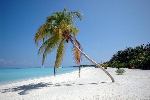 Où trouver les meilleurs spots pour une plongée en récif corallien en Australie ?